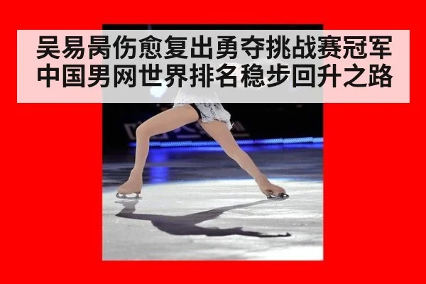 吴易昺伤愈复出勇夺挑战赛冠军 中国男网世界排名稳步回升之路